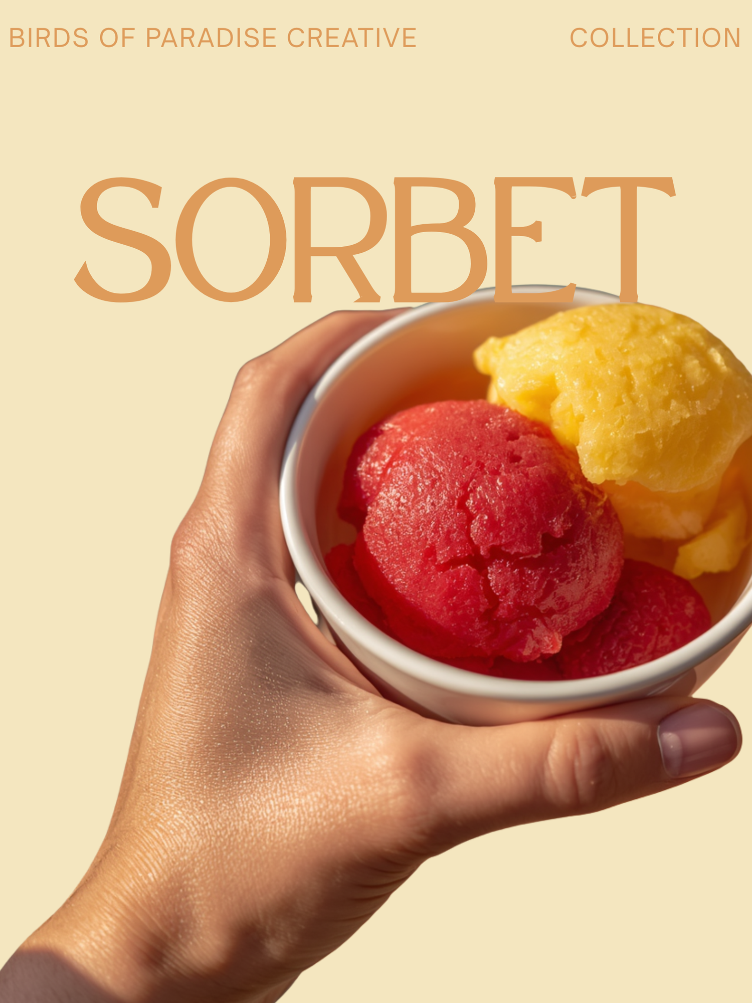 Sorbet